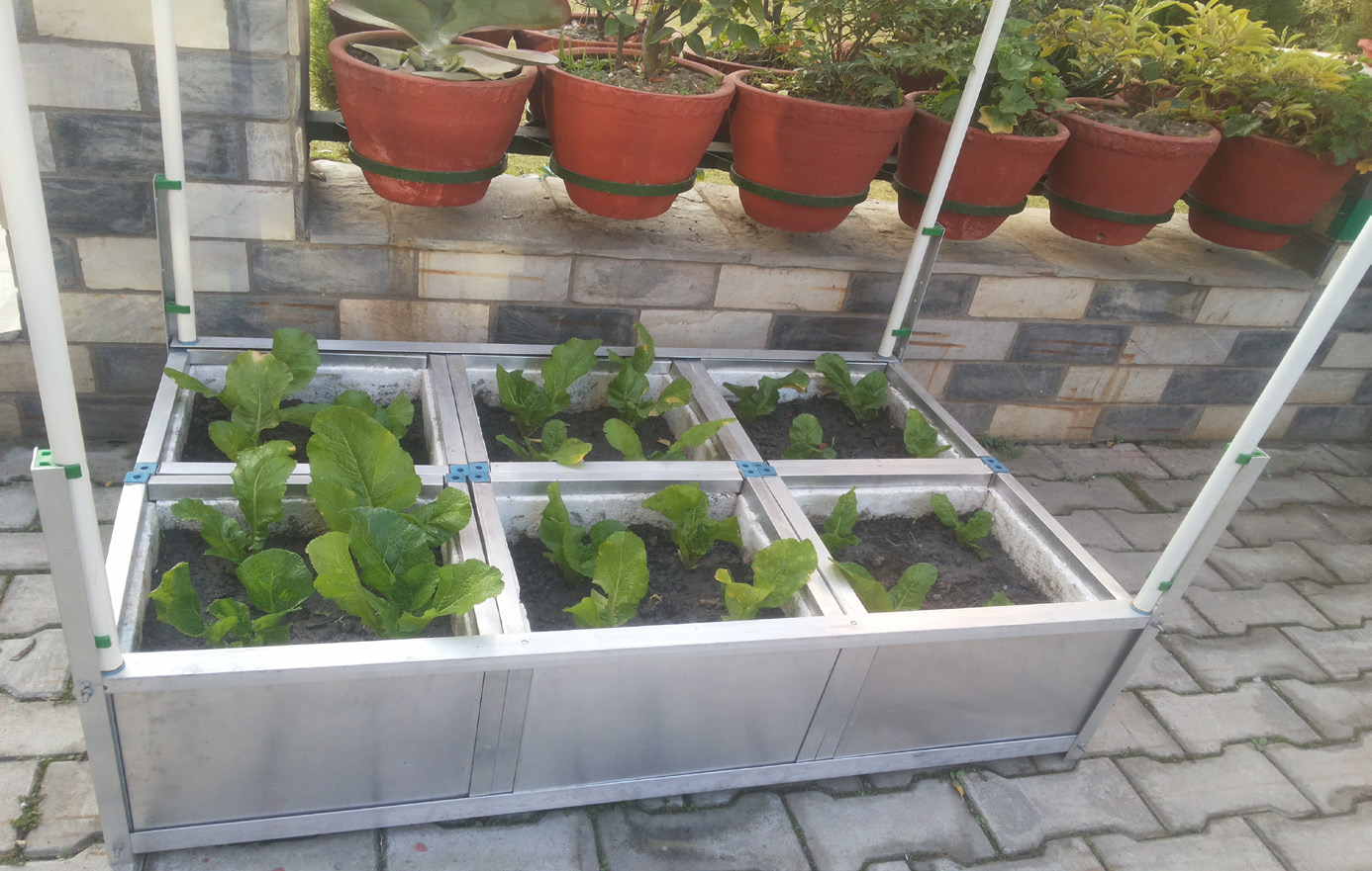 Seedling & Nursery Trays - image 1