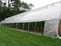 Greenhouse UV Film