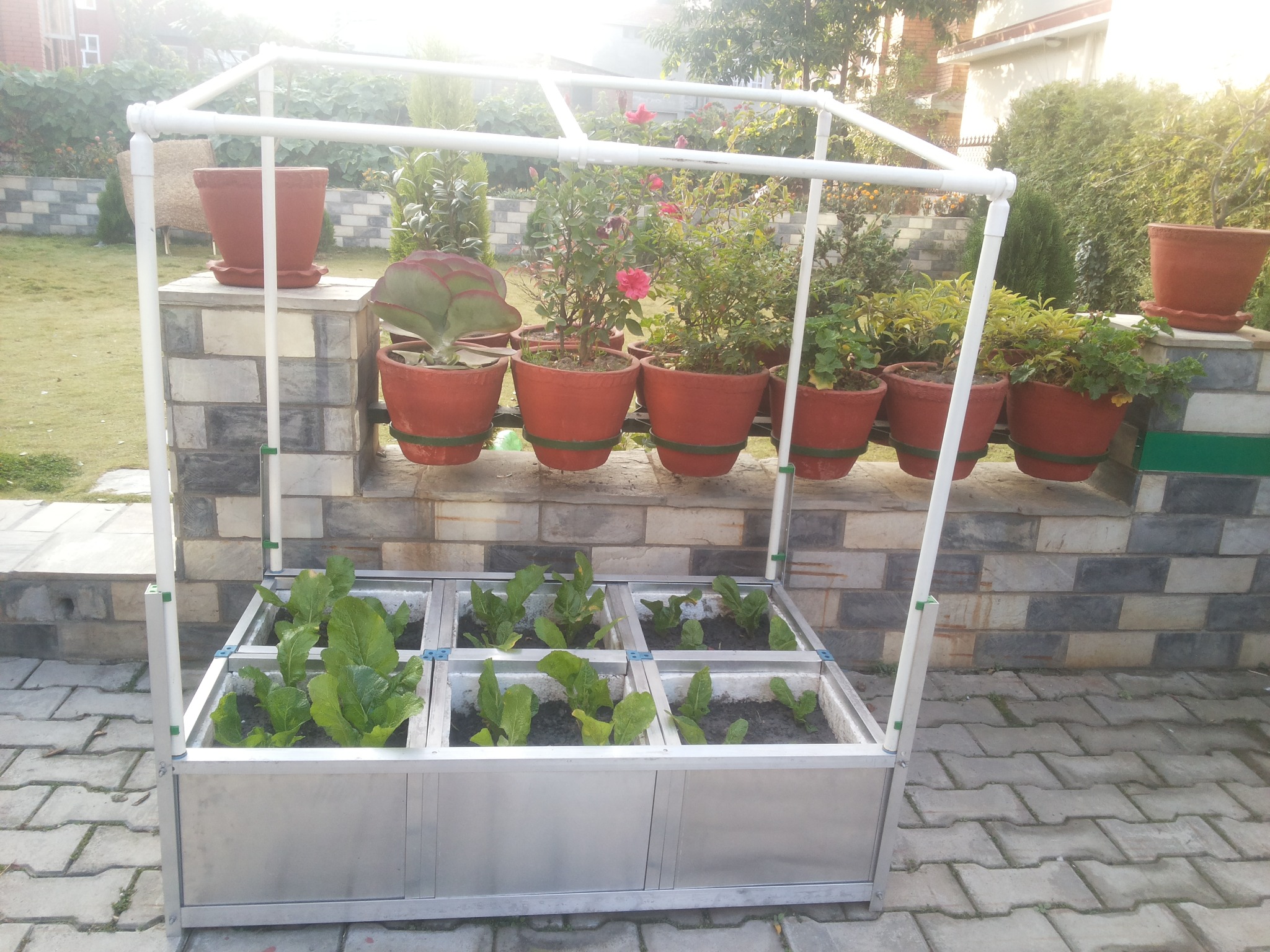 Rooftop Farming Site Checklist Before Installation